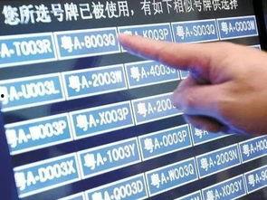 最新车牌爆料,个性化车牌来袭，车牌号码将迎来大变革！